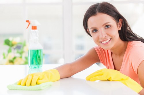 Professional window cleaning for Roehampton homes and flats