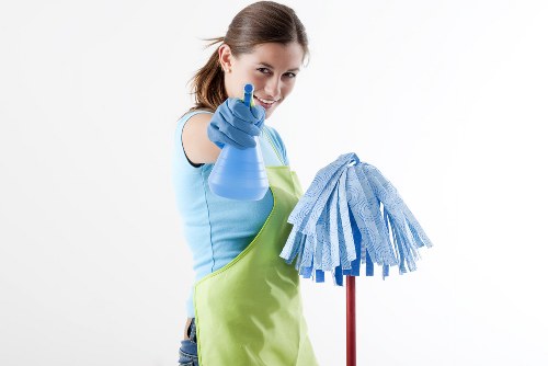 Domestic cleaning service for a Roehampton home interior