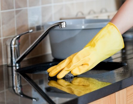 Cleaned oven and kitchen appliance service for Roehampton customers