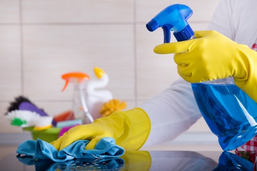 Local domestic cleaning support for Roehampton households