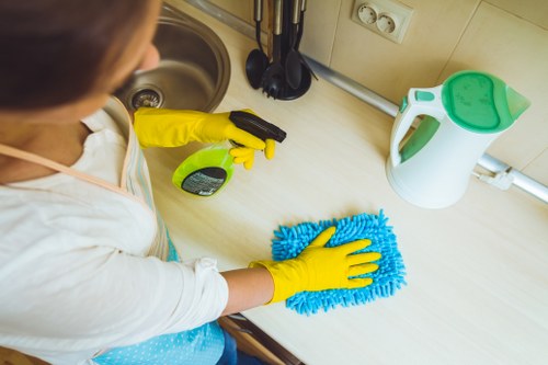 Roehampton Cleaners payment portal with safe transaction features