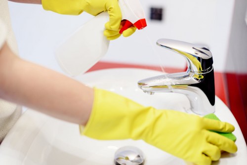 Professional domestic cleaning in Roehampton with flexible service options
