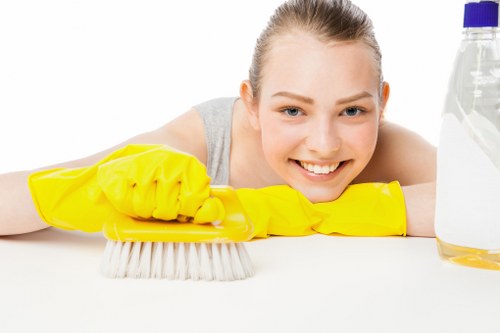 Professional deep clean for a Roehampton home or office