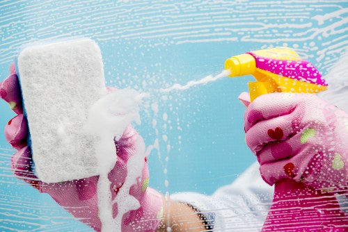 Insurance protection and professional cleaning standards illustration