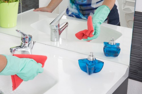 Cleaner treating high-traffic carpet areas in Roehampton home