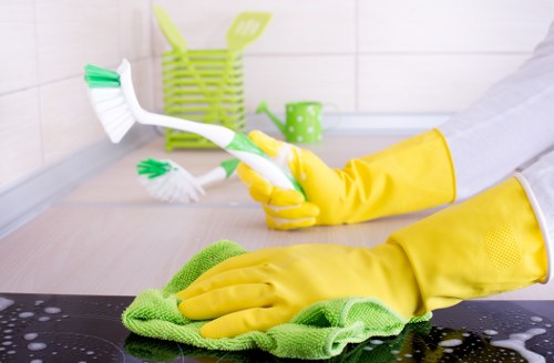 Ongoing domestic cleaning support for Roehampton residents