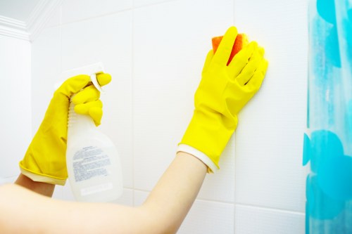 Professional cleaning of shared building entrances and high-touch surfaces in Roehampton