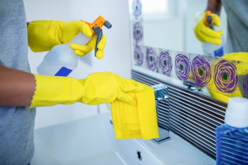 Oven cleaning appointment in Roehampton with access and parking considerations