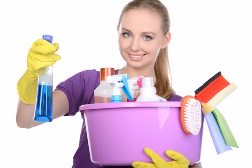 End of tenancy cleaning details in a Roehampton flat