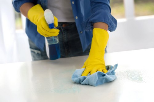 Local cleaner maintaining a Roehampton home on a weekly schedule
